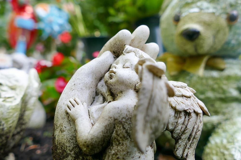 Coping with Pregnancy Loss